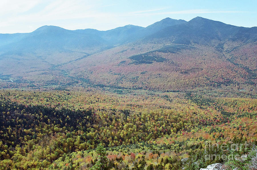 White Mountain Fall Color Photograph by Larry Davis Custom Photography ...