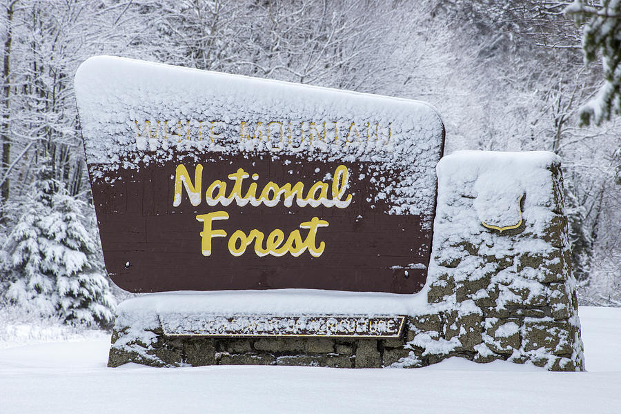 White Mountain Frosty Sign Photograph by White Mountain Images