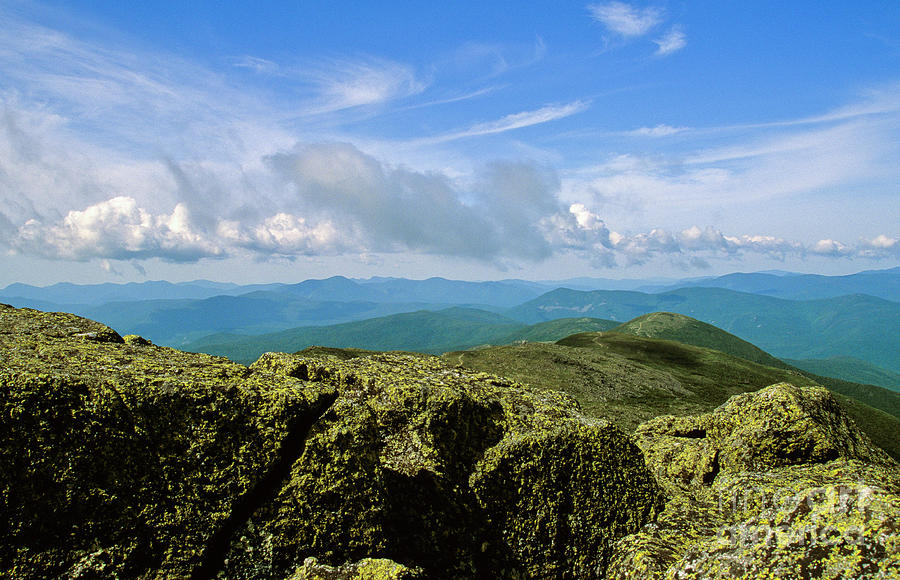 White Mountain National Forest - New Hampshire USA Photograph by Erin Paul Donovan