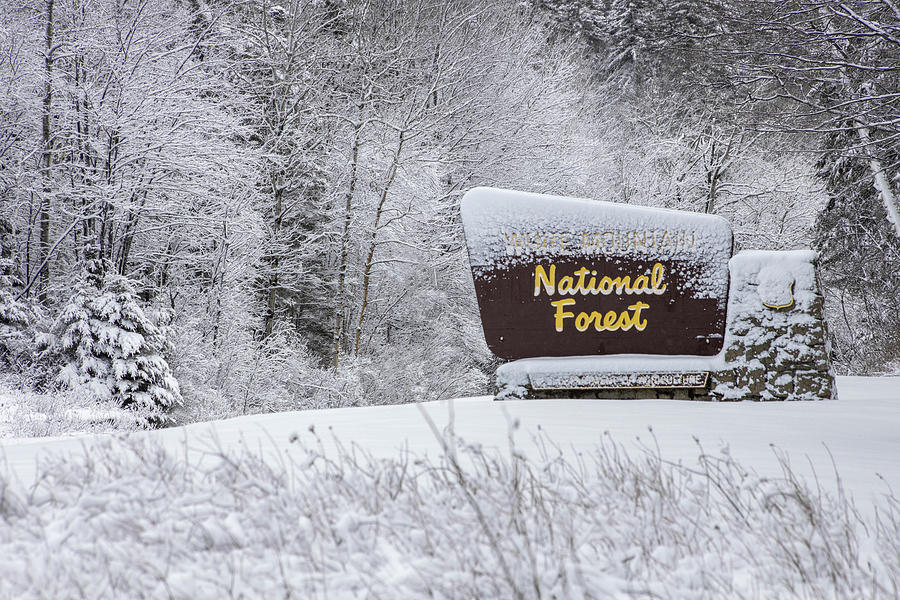 White Mountain Winter Sign Photograph by White Mountain Images