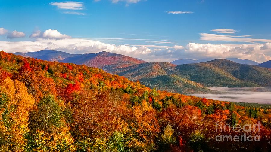 White Mountains fall foliage Photograph by Michael McCormack Fine Art