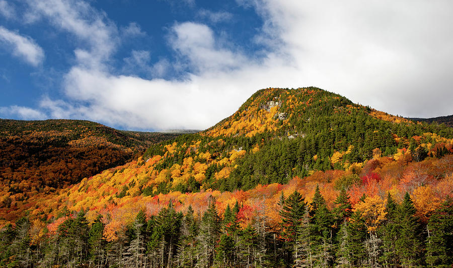 White Mountains Fall Landscape Photograph by Dan Sproul