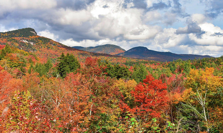 White Mountains Foliage 1 Photograph by C Sev Photography - Fine Art ...