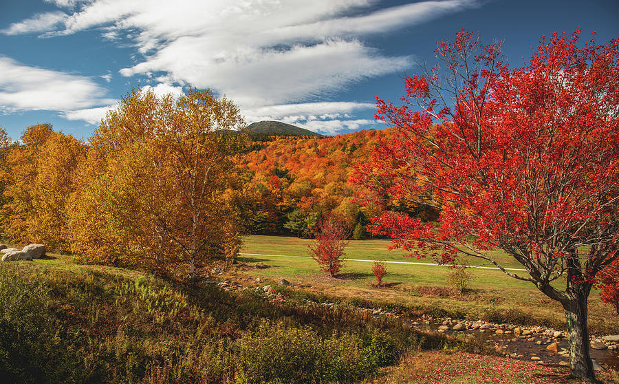 White Mountains In Fall Foliage Photograph by Dan Sproul