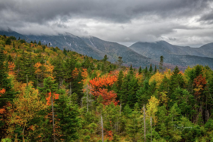 White Mountains Overcast #3701 Photograph by Dan Beauvais