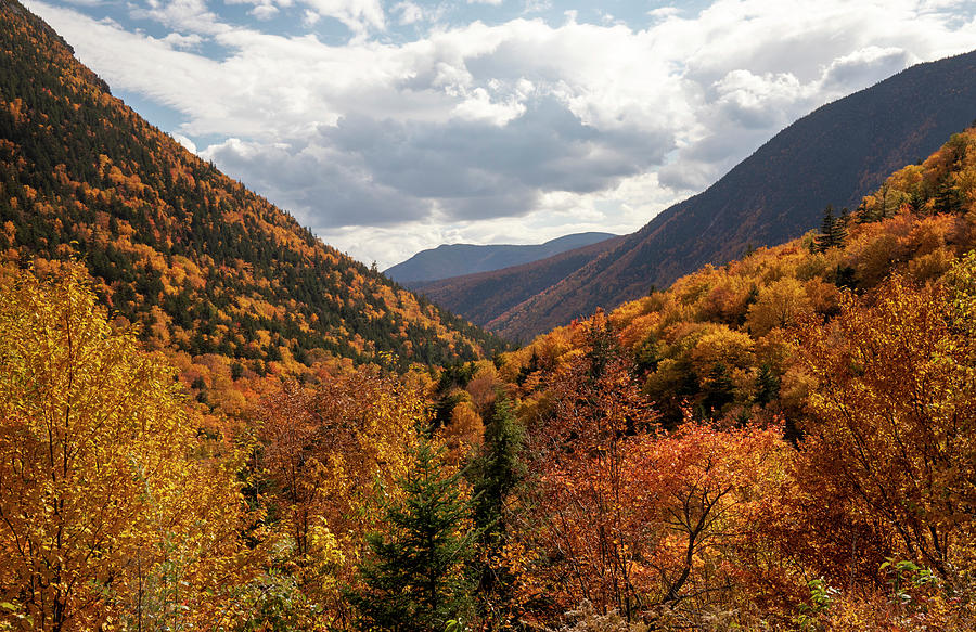 White Mountains Overlook In Fall Photograph by Dan Sproul