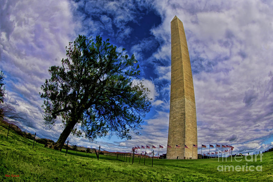 White Mulberry Tree And The Washington Monument Photograph by Blake Richards