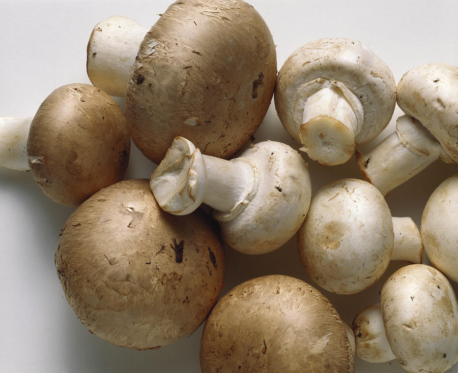 White Mushrooms & Brown Mushrooms Photograph by Eising