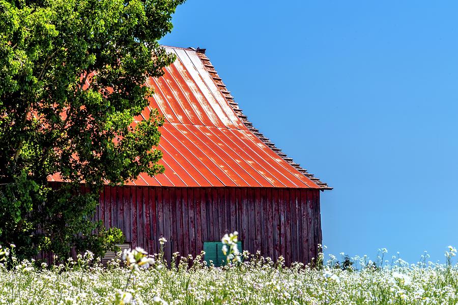 White Mustard Shed and Blue Sky Photograph by Jerry Sodorff