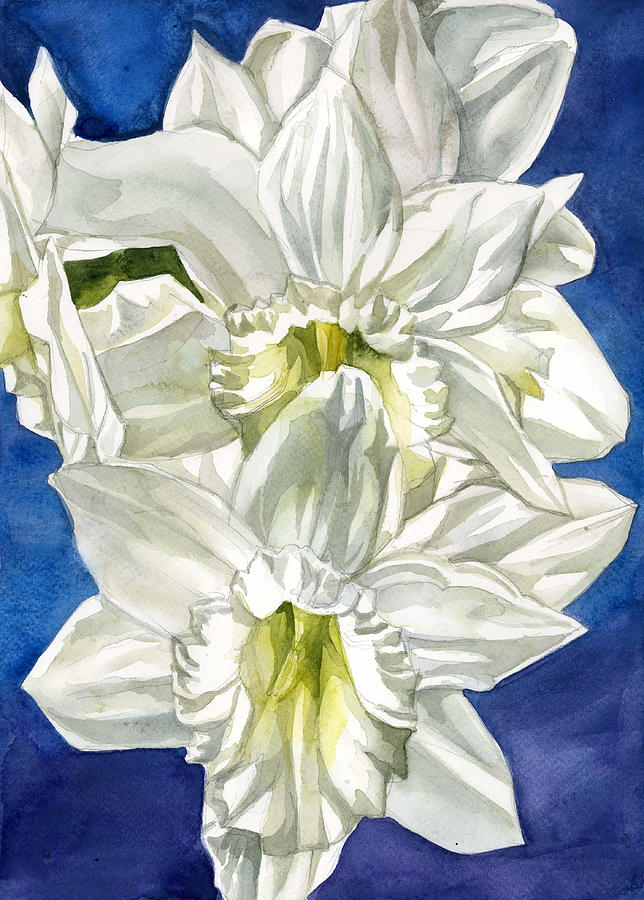 White Narcissus Watercolor Painting by Alfred Ng
