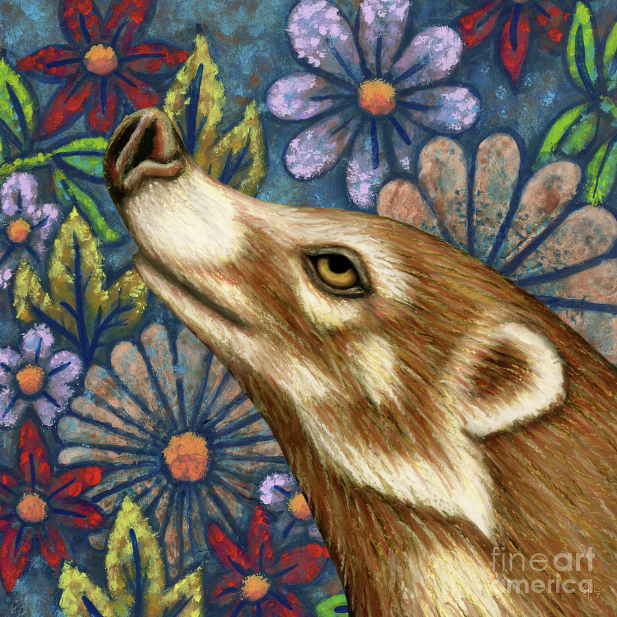 White Nosed Coati Floral Painting by Amy E Fraser