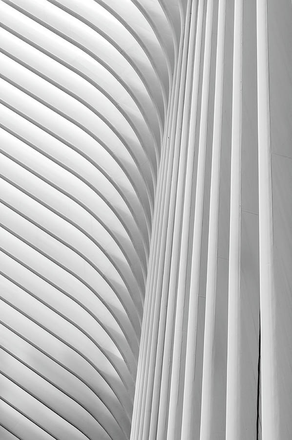 White on white abstract Photograph by Xavier Cardell