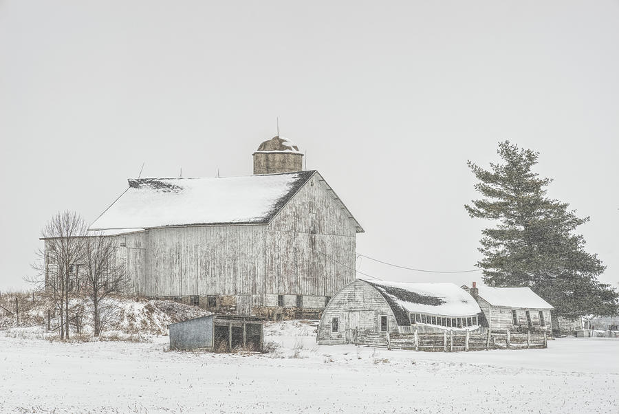 White on White - Wisconsin dairy barn and farm in winter snow near Stoughton Photograph by Peter Herman