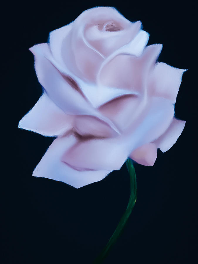 White Opal Rose Digital Art by Michele Koutris