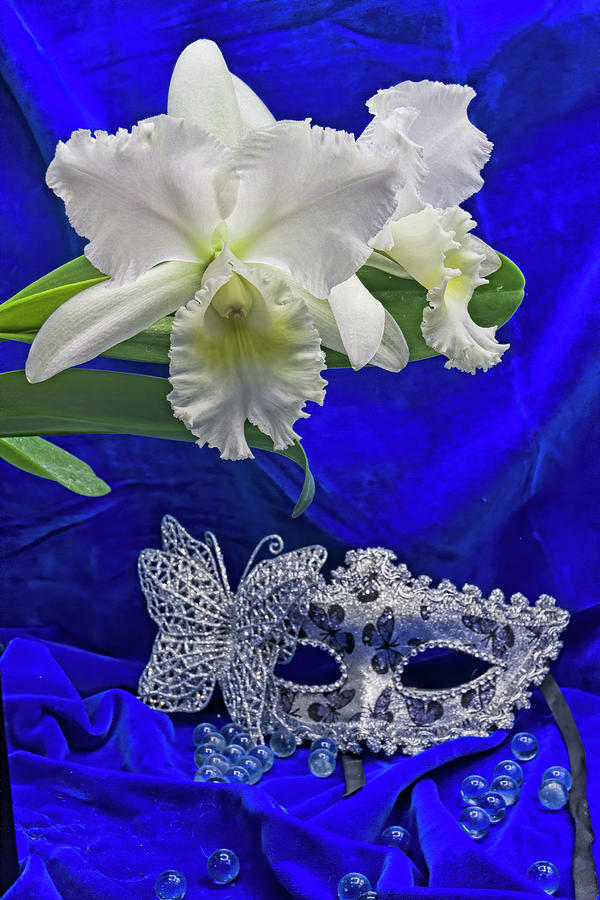 White Orchid Masquerade Photograph by Alana Thrower