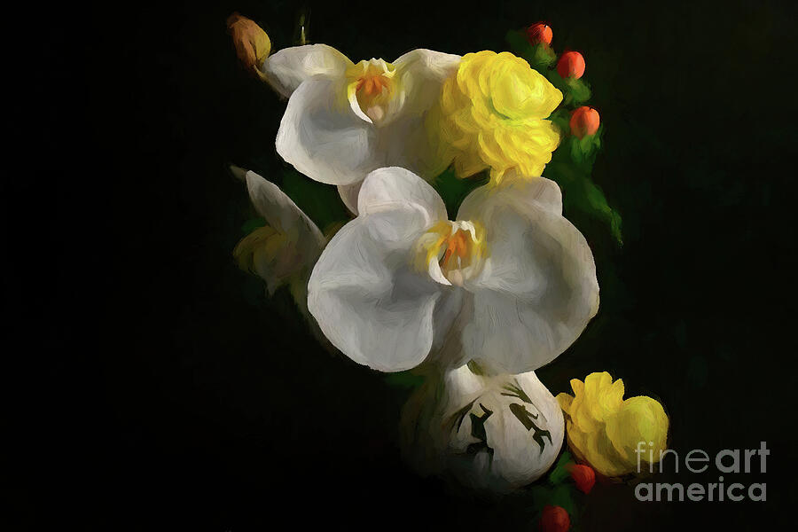 White Photograph - White Orchids by Diana Mary Sharpton