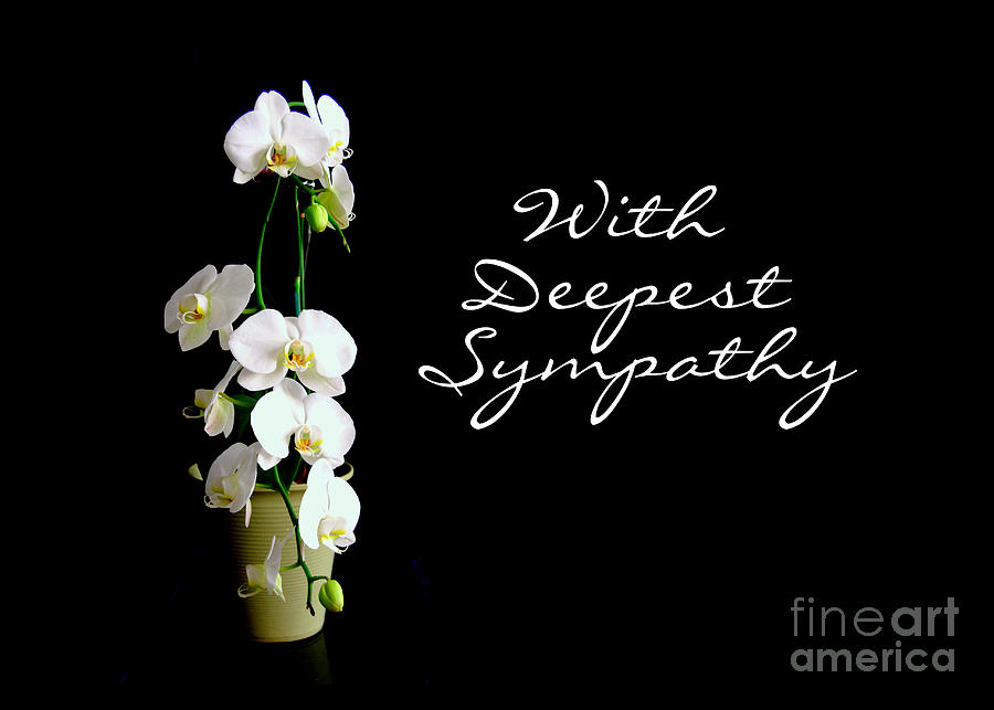 White Orchids Sympathy Photograph by Catherine Sherman