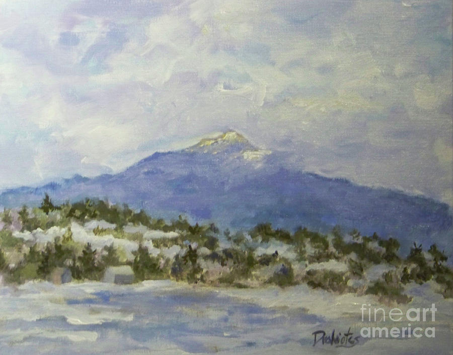 White Out on Pearly Pond Painting by Alicia Drakiotes - Fine Art America