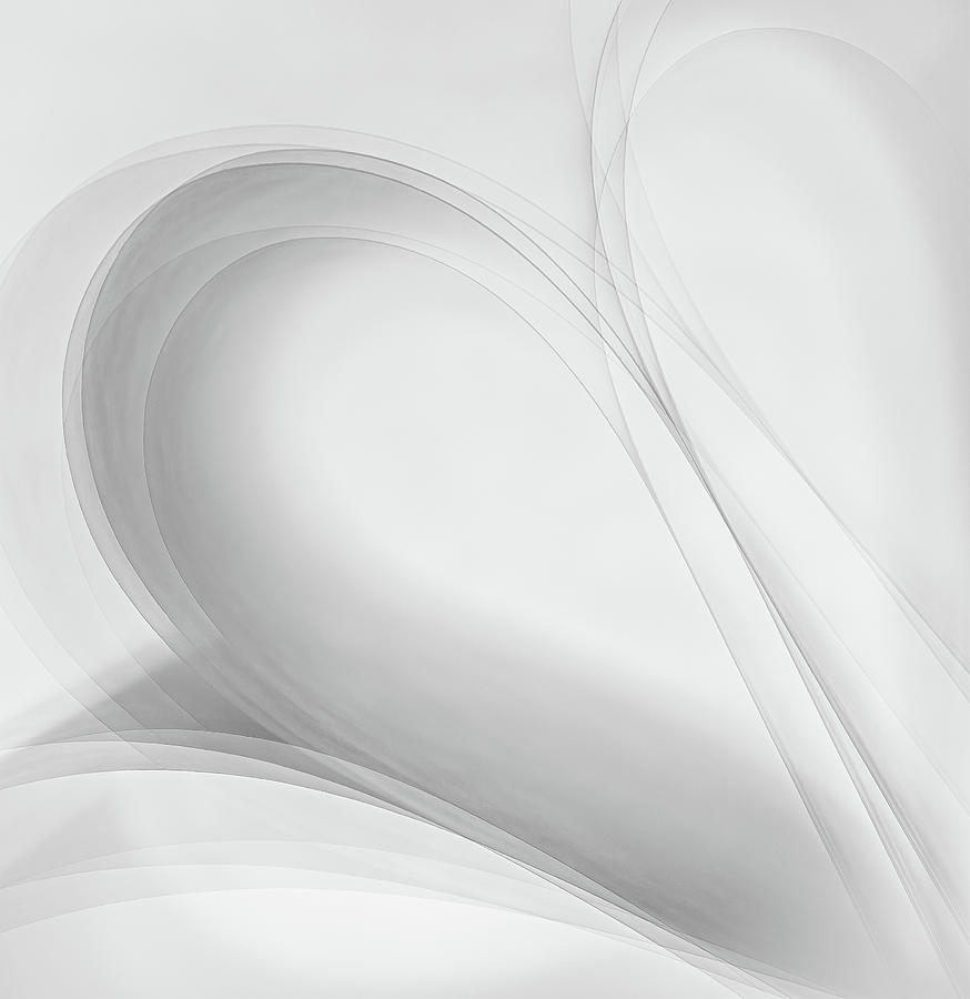 White Paper Curves - Paper Abstract Photograph by Sylvia Goldkranz