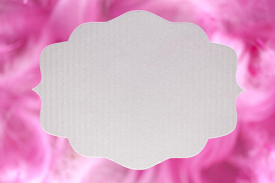 White paper label on pink background Photograph by Tedestudio