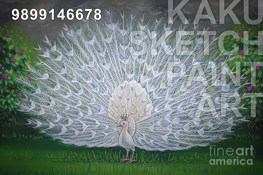 white peacock paintings