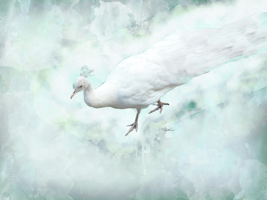 White Peacock Digital Art by Pamela Williams