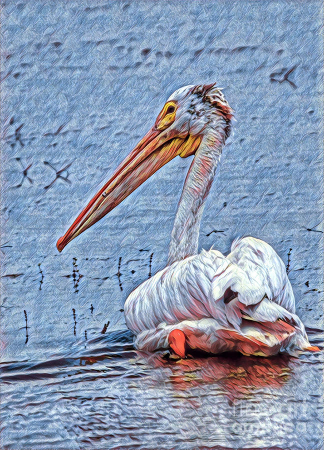 White Pelican  Digital Art by Dlamb Photography