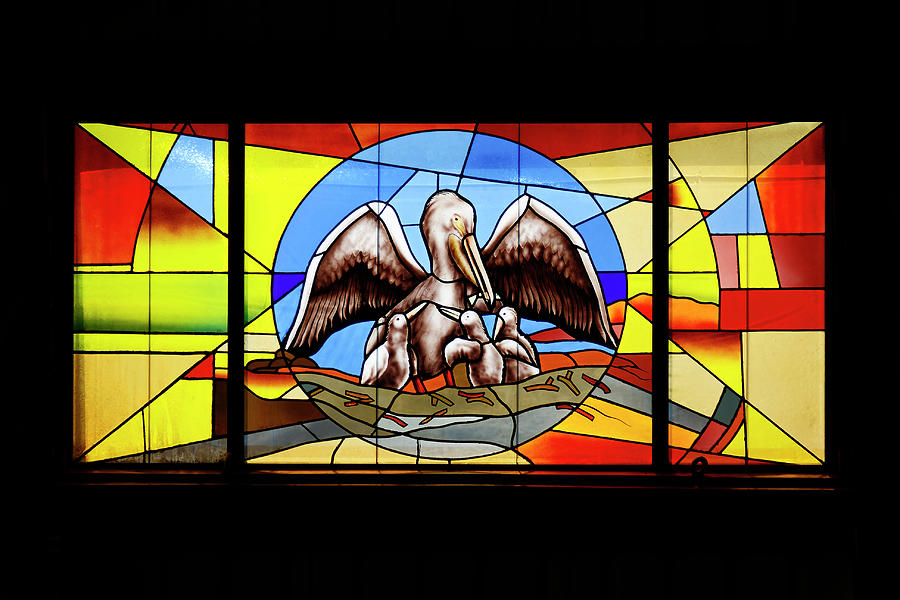 White Pelicans Stained Glass Window Photograph by Sally Weigand