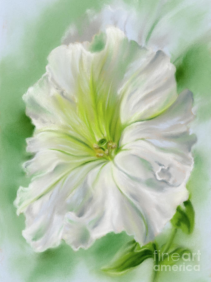White Petunia on Celadon Green Painting by MM Anderson
