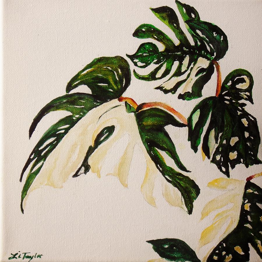 White Philodendron Painting by Lil Taylor Pixels