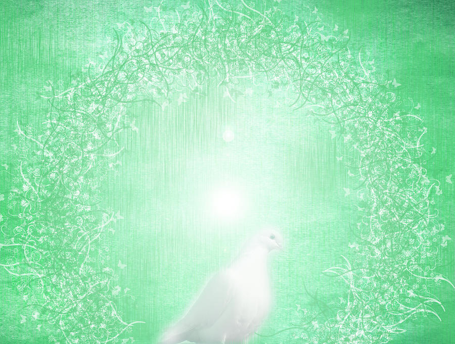 White Pigeon Digital Art