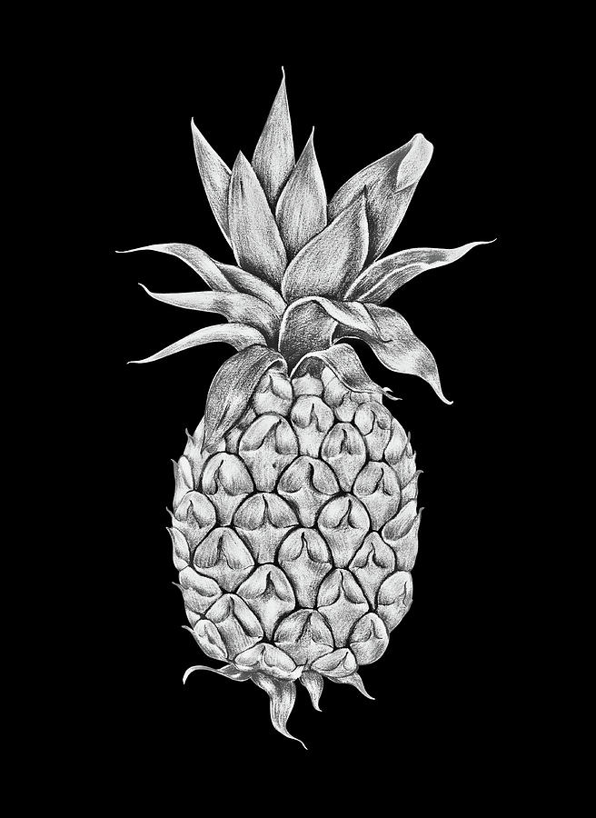 White Pineapple On Black Digital Art by HH Photography of Florida