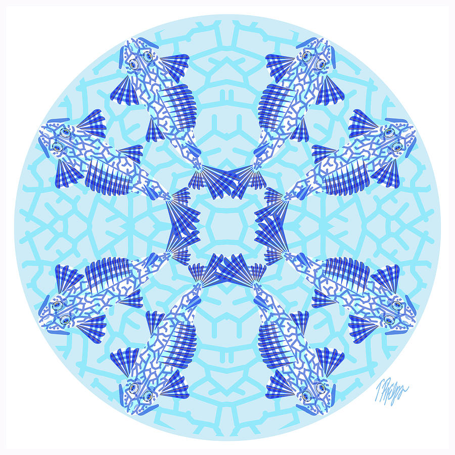 White Plecostomus Nature Mandala Digital Art by Tim Phelps