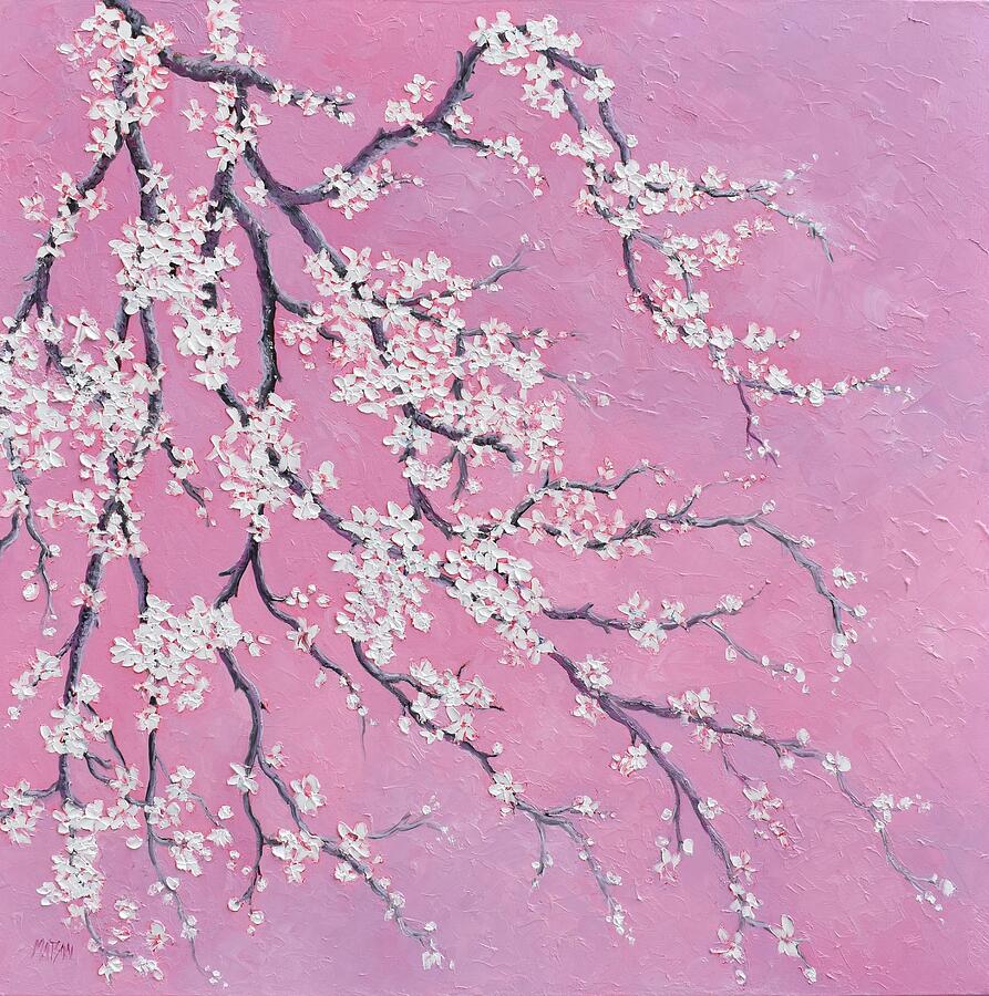 Painting of White Plum Blossom on dusky pink Painting by Jan Matson Painting of White Plum Blossom on dusky pink Painting by Jan Matson