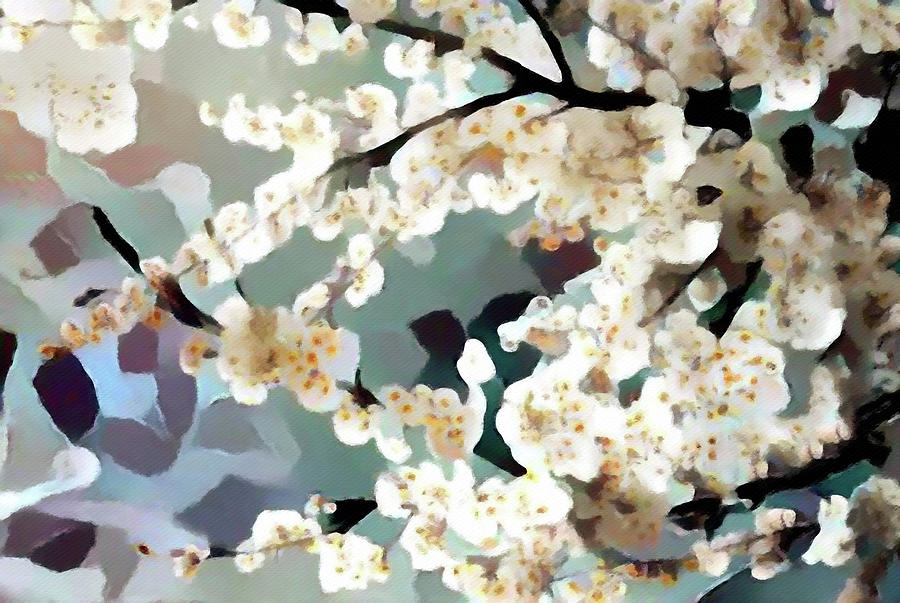White Plum Blossoms Digital Art by Susan Maxwell Schmidt