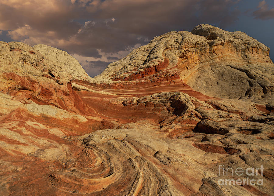 White Pocket Utah Photograph by Dan Murray - Pixels