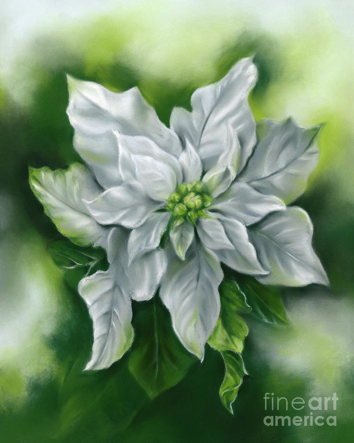 White Poinsettia on Green Painting by MM Anderson