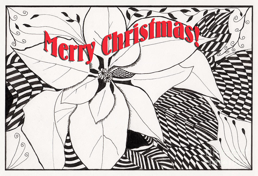 White Poinsettia Zentangle Merry Christmas Drawing
