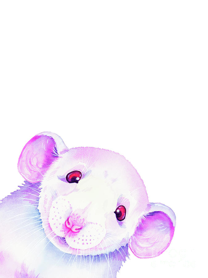 White Rat Peekaboo 2 Painting