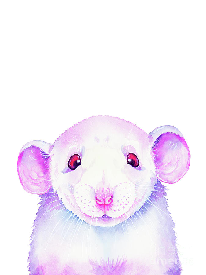 White Rat Peekaboo Painting by Zaira Dzhaubaeva