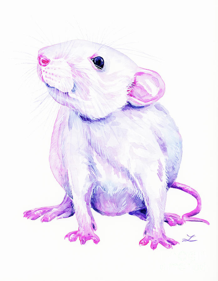 White Rat Painting by Zaira Dzhaubaeva