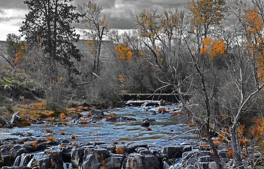 White River  Digital Art by Fred Loring