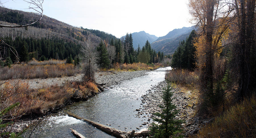 White River National Park 3 Photograph By Maurice Johnson Pixels