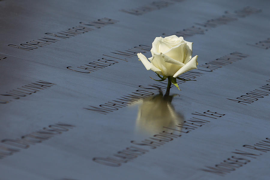 White Rose - 9/11 Memorial, New York City Photograph by Cstewart