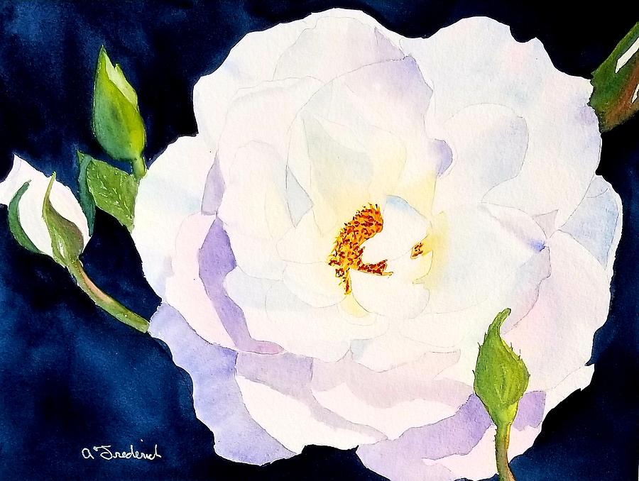 White Rose Painting by Ann Frederick