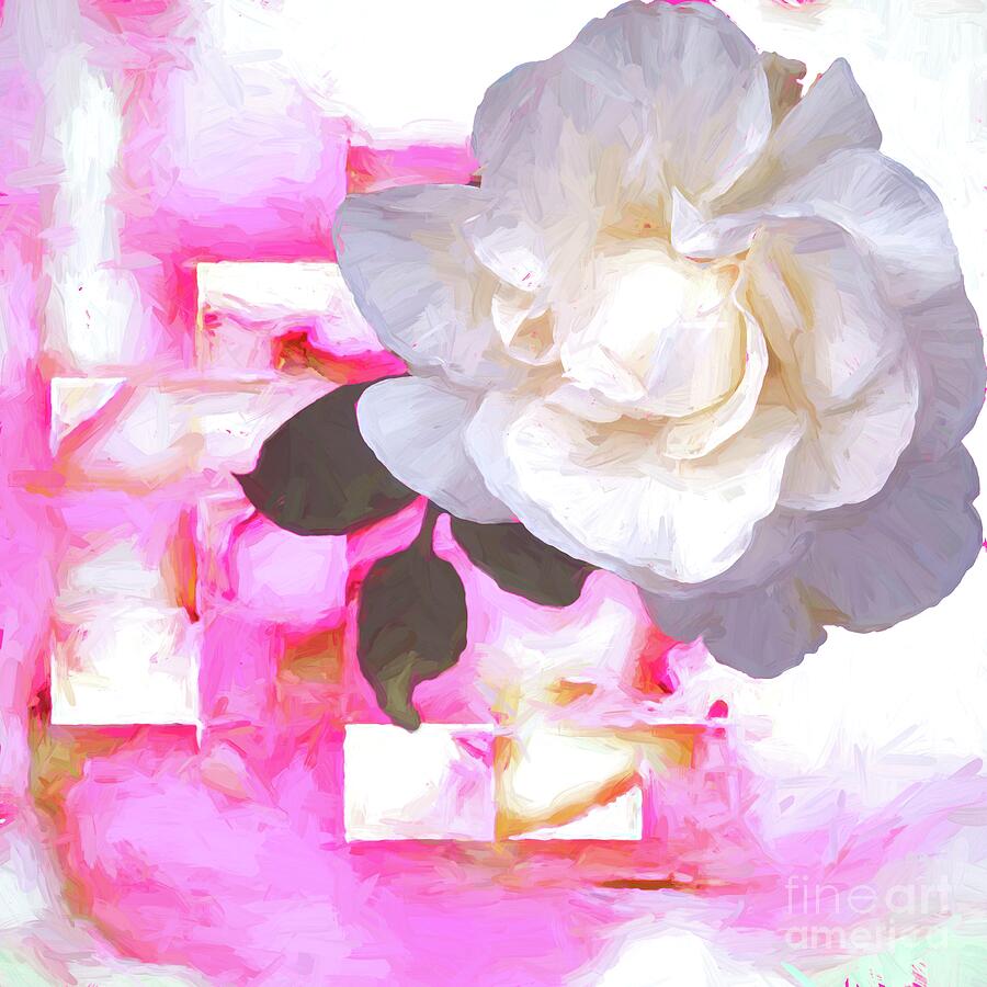 White Rose Art Mixed Media by Diana Mary Sharpton