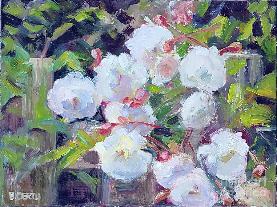 White Rose Bush Painting by Barbara Oertli