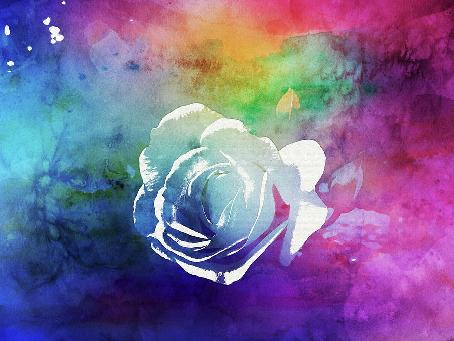 White Rose In A Garden Of Color Painting
