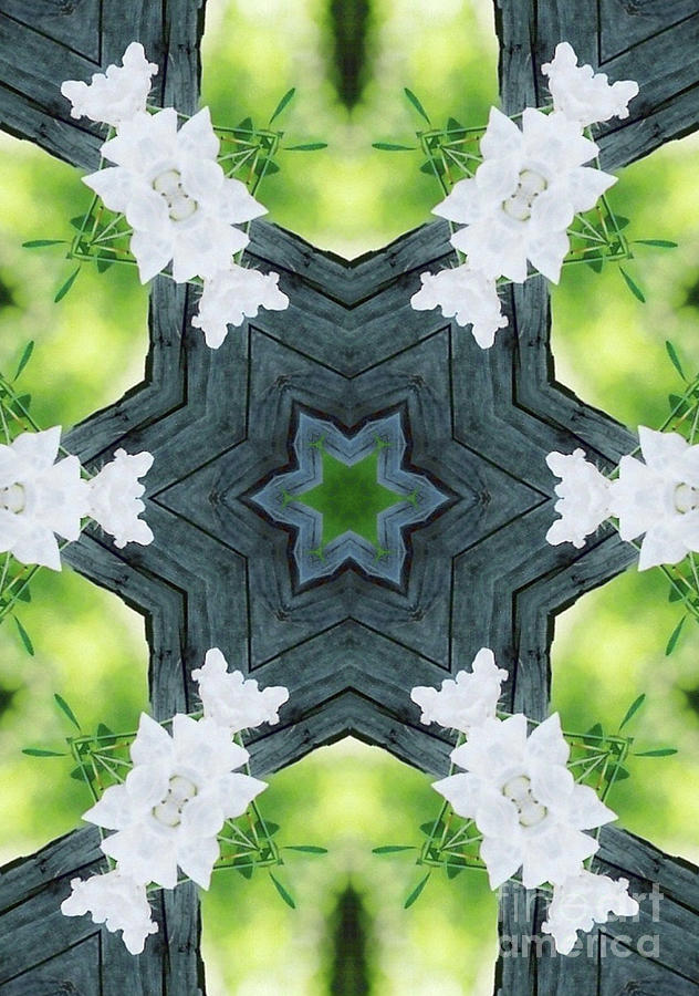 White Rose Kaleidoscope -2 Digital Art by Charles Robinson