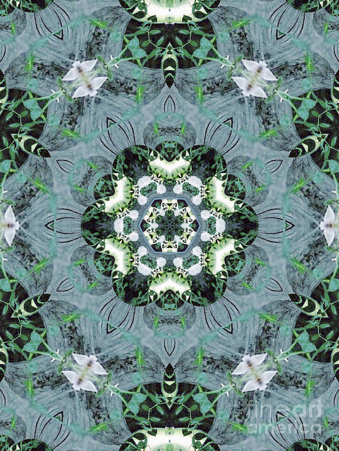 White Rose Kaleidoscope Digital Art by Charles Robinson
